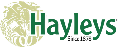 Hayleys Electronics logo